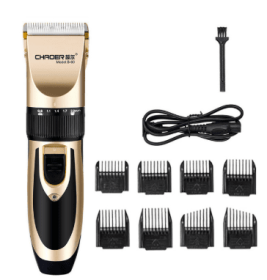 Rechargeable Electric Haircutting Ceramic Hair Clipper (Option: Golden-USB)